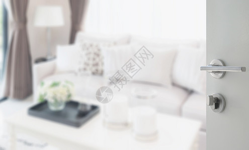 向现代客厅设计提供沙发和灯具的白色门图片
