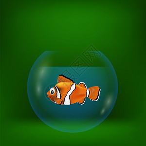绿色背景的海小丑鱼多彩插图海小丑鱼的多彩插图图片