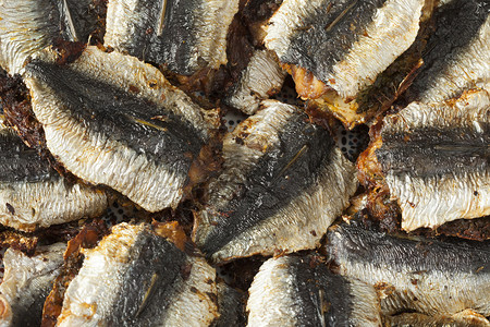 传统的摩洛哥填料和炸沙丁鱼全套图片