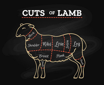 鲜切羊肉羊肉牛排屠宰黑板计划羊肉切割图或肉屠宰牛排切黑板计划用回手画式矢量插图插画