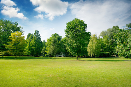 城市公园的绿地草树复制空间图片