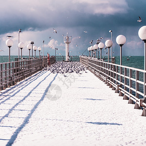 冬天的码头雪覆盖冬天风景俄罗斯图片