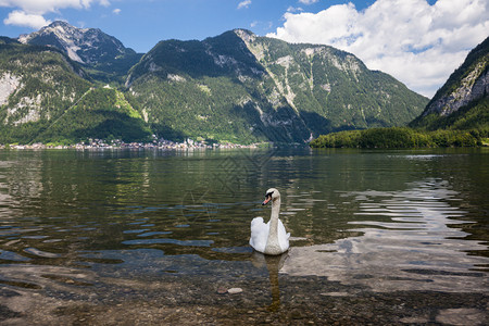 奥地利阿尔卑斯山Hallstat村图片