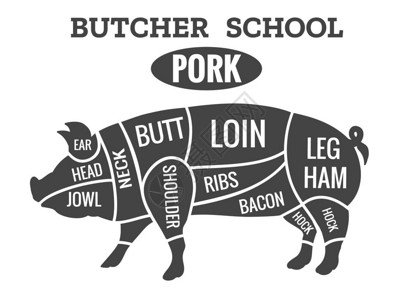 旧猪肉屠宰图切割烤牛肉屠宰学校矢量图图片