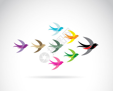 彩色燕鸟矢量组图片