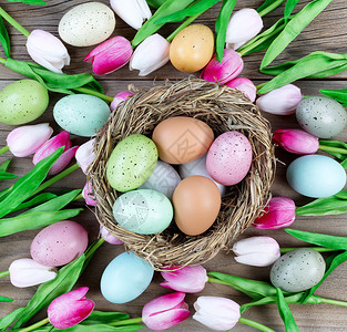 充斥着彩色鸡蛋和粉红郁金香的雀巢用于复活节背景的风化木板上图片