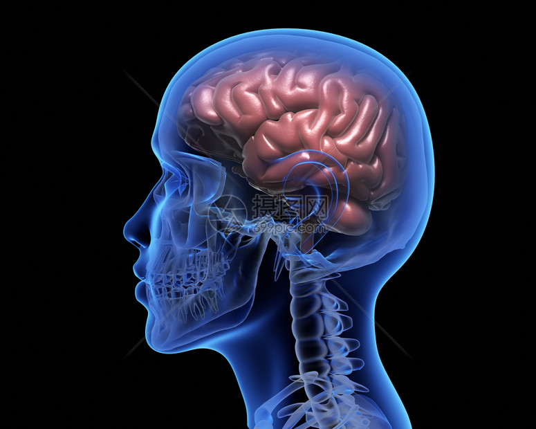 人类大脑黑色背景的人类大脑3d插图