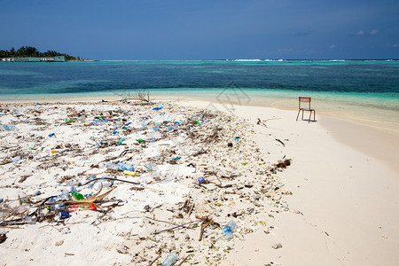 热带海沙滩污染图片