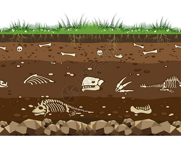 水平无缝地下表层与恐龙和蜥蜴骨头矢量图图片