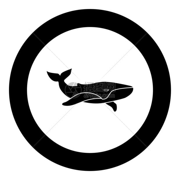 鲸鱼剪影图标图片