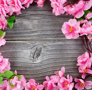丝绸樱花枝的顶部视图形成圆的边框在春假的旧木上圆形的丝绸樱桃花枝在树上图片
