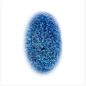 蓝指纹识别符号在白色背景技术概念中孤立蓝色指纹识别符号在白色背景技术概念中孤立图片