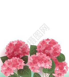 矢量杂兰花的矢量插图有花装饰的背景图片
