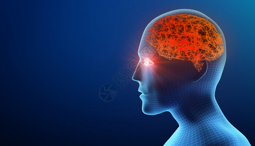 大脑人头阿尔茨海默疾病b脑人头的无线框架模型脑人头的无线框架模型阿尔茨海默和脑人的无线框架模型未来技术人脑的无线框架模型3d插图背景图片