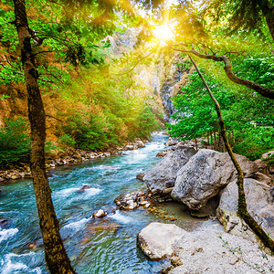夏季山河的美丽景色森林中的山河阿布哈兹美丽的风景图片