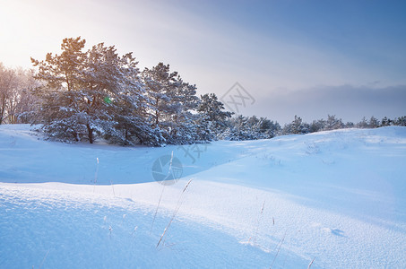 冬季风景自然构成图片