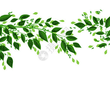 绿色树叶矢量背景图片