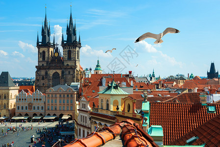 布拉格夏日从上到下在旧城广场的景象图片