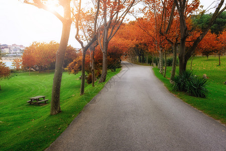 阳光明媚的美丽多彩秋天公园图片
