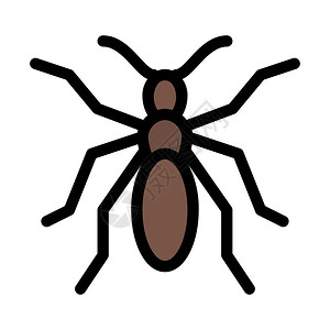 野生小蚂蚁图片