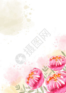 盛开的花朵水彩风插画图片