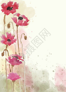 艳丽的花朵水彩风插画图片