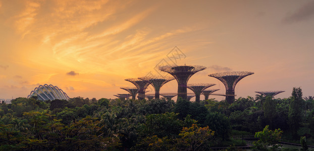 超级树林园新加坡城明日玛里娜湾海旁的花园图片