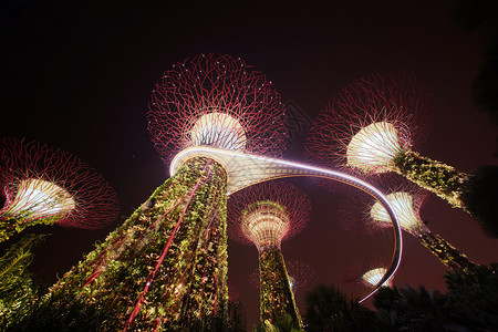 超级树林园晚上在新加坡市玛里娜湾海旁的花园图片