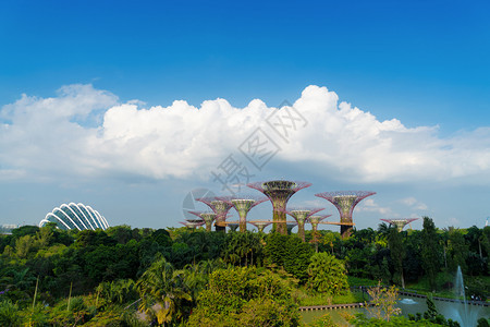 超级树林园在新加坡市玛里娜湾海旁的花园中午有蓝天图片