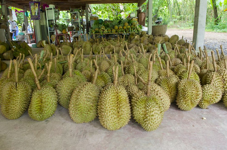 来自泰国的DummpDurian是有浓香味的水果图片