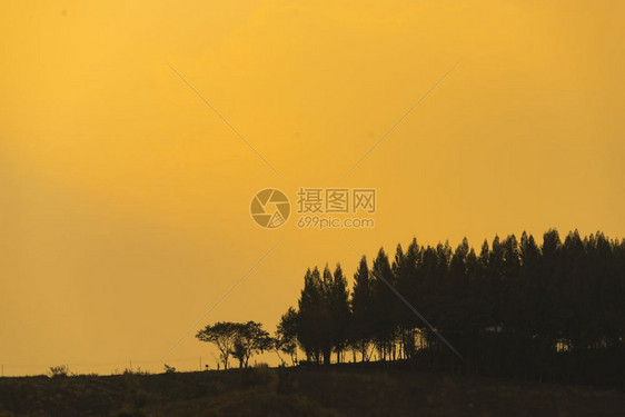 泰国KhaoYai公园热带雨林自然资源分布图图片