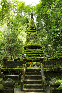 泰国昌塔胡里省Chanthabauri省Phlio瀑布公园的老塔和苔陵图片
