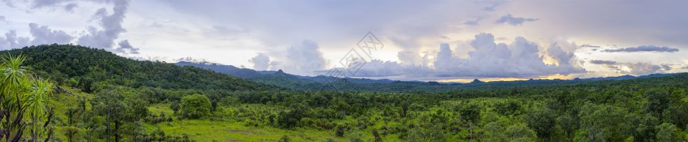 泰国西森林综合体全景观图片