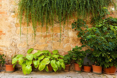 意大利古老的意大利家庭背景意大利古老的石墙花和常春藤的石墙意大利古老的历史背景图片