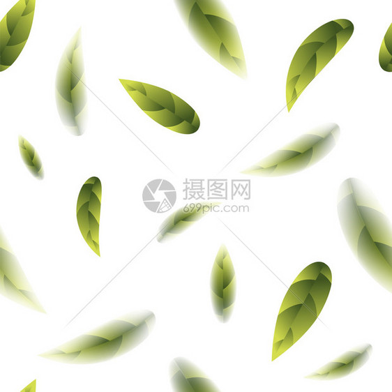 绿色茶叶新白背景无缝模式绿色茶叶新无缝模式图片