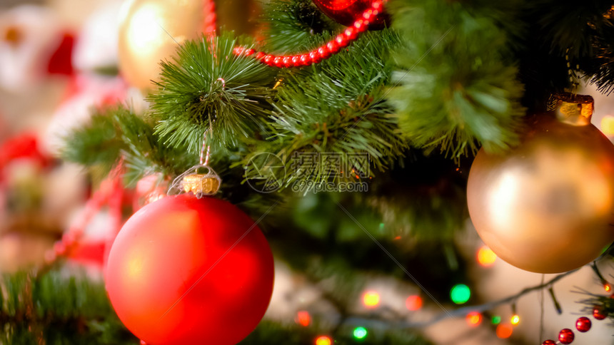 红色的露珠和合照圣诞树红色的露珠和合照圣诞树图片