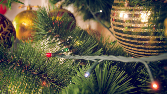 圣诞树上多彩的光园和芭拉近照图片