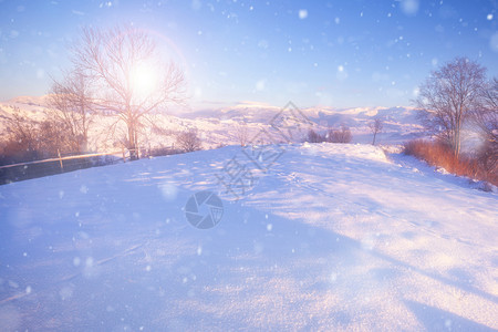 美丽的冬季风景有雪覆盖树木和山丘背景美丽的冬季风景有雪覆盖树木图片