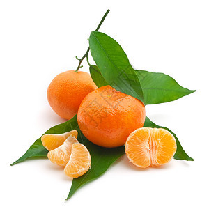 酸橙色设计要素图片