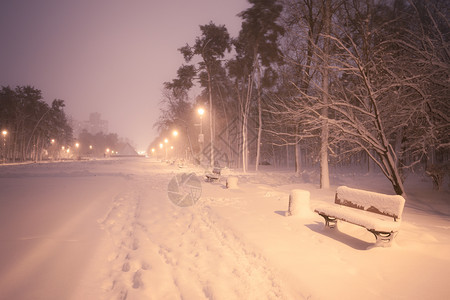 夜间冬季雪瀑布城市的小巷明亮公园图片