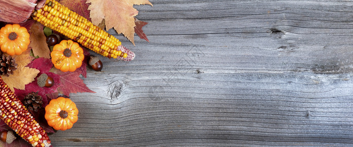 彩色的秋天装饰左角边框位于风化的木制背景上图片