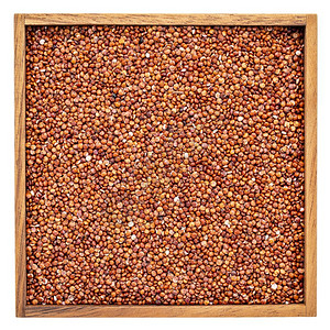 白方形木箱中免费的红quinoa谷物背景图片