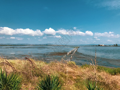 夏天美丽的湖图片