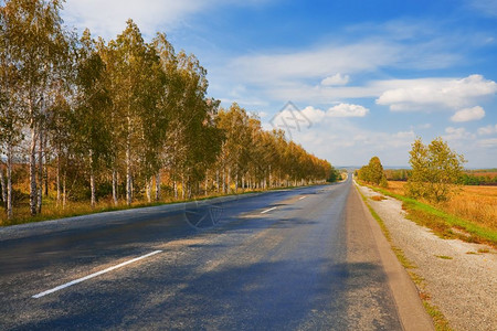 草原上延伸到很远的秋季公路背景图片