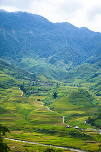 田地准备种植大米LimMongHuyenMuChangChaiNorthen越南图片