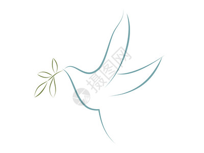 带橄榄叶的矢量鸽子和平的象征图片