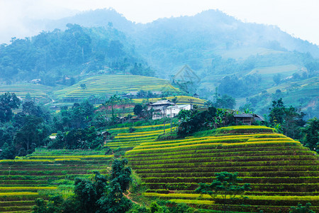 田地准备种植大米越南北部河江省HuyenHoangSuPhi的BanLuocHuyenPhi背景图片