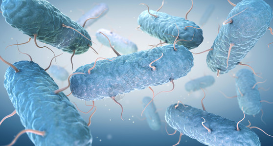肠内阴细菌肠内阴细菌是一大家庭的格外阴细菌3D插图肠内阴细菌是一大家庭的格外阴细菌图片