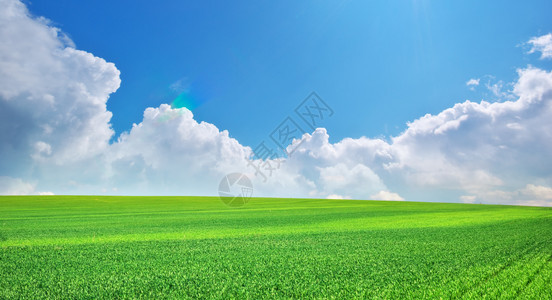 绿草和深蓝天空图片