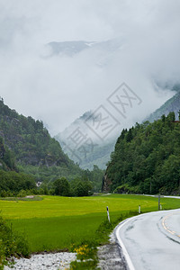 穿过挪威山的通路雾雨日美丽的绿色夏季风景旅行和游图片